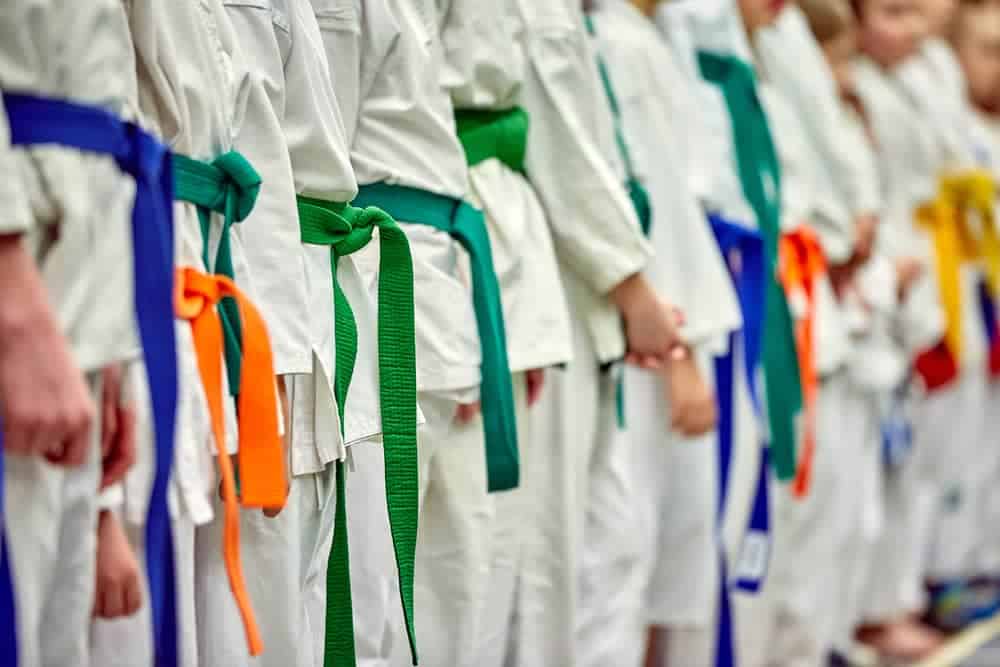 Taekwondo Belt Colors and Ranks