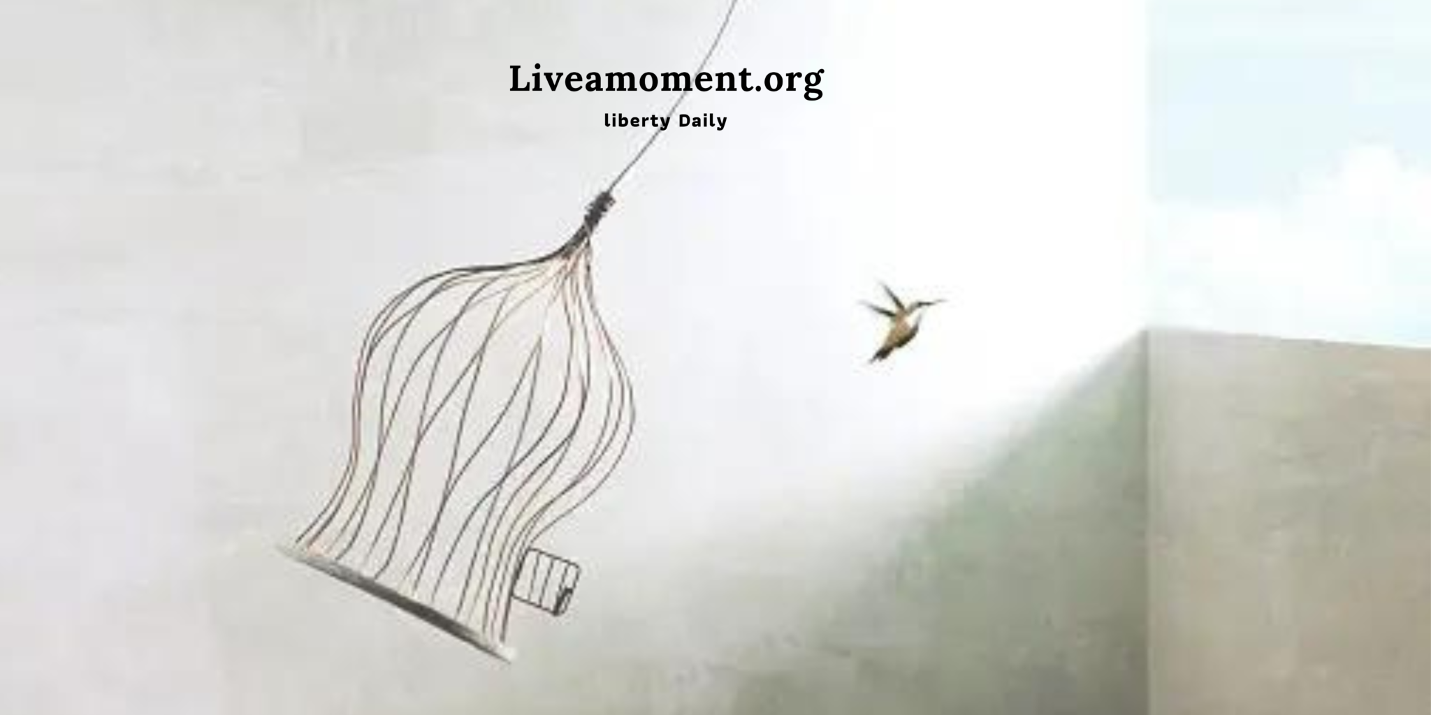Liveamoment.org